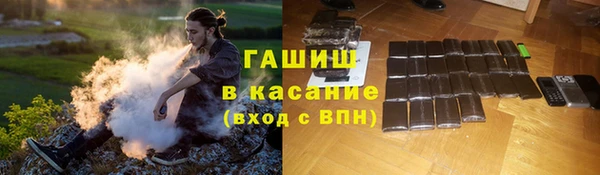 индика Алзамай