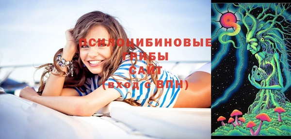 индика Алзамай